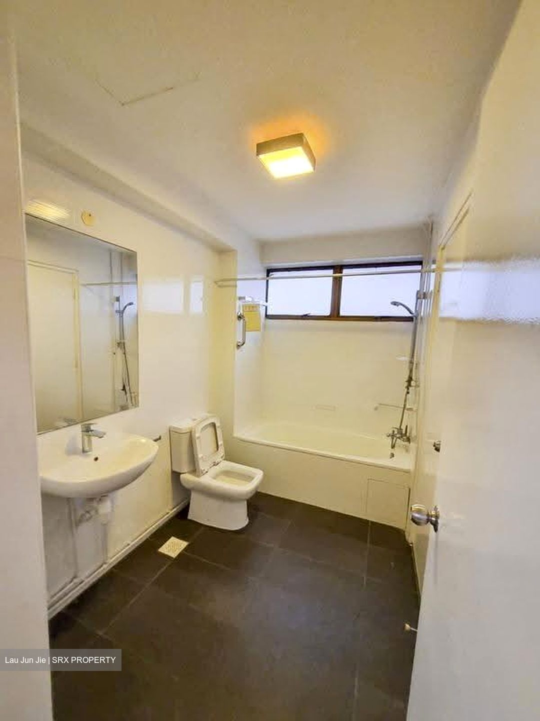 The Cairnhill (D9), Condominium #624603291